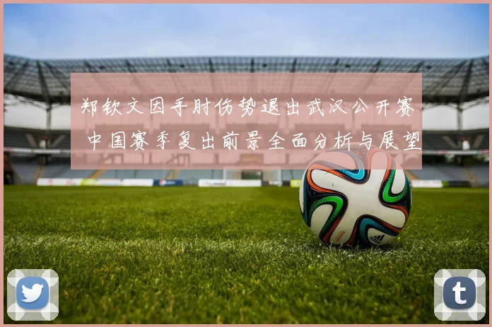 郑钦文因手肘伤势退出武汉公开赛 中国赛季复出前景全面分析与展望